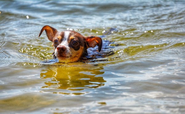 Quelles techniques pour débuter dans la production de courts métrages expérimentaux ?